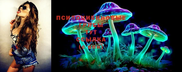 a pvp Алексин