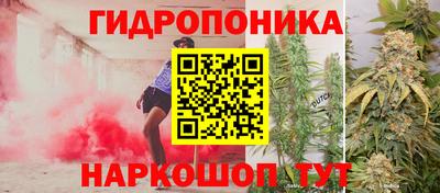 ешки Абинск
