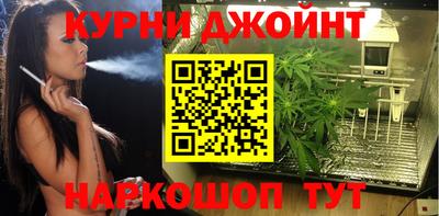 гашик Шахты