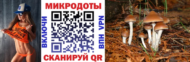 Галлюциногенные грибы мицелий  где купить наркотик  Алексеевка 
