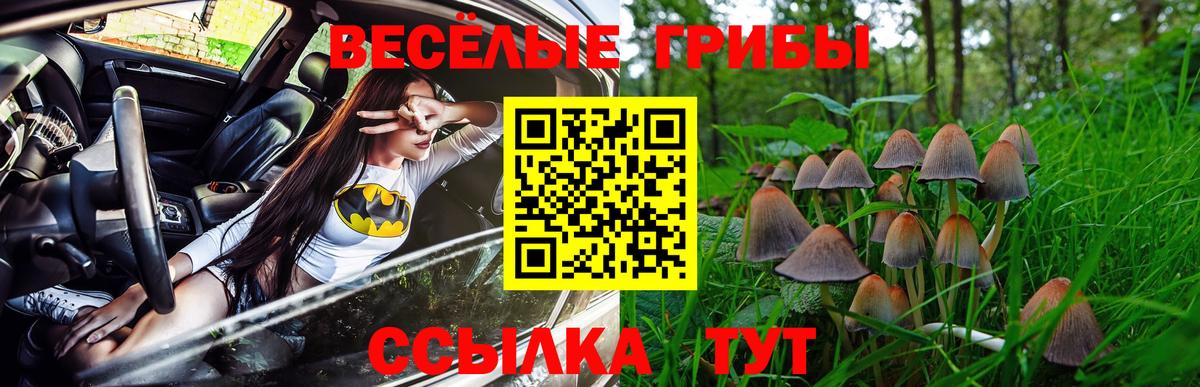 Галлюциногенные грибы Psilocybine cubensis Алексеевка